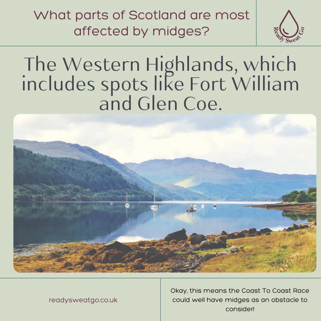 Western Highlands Scotland shoreline with mountains, boats, and info about midges in Fort William, Glen Coe.