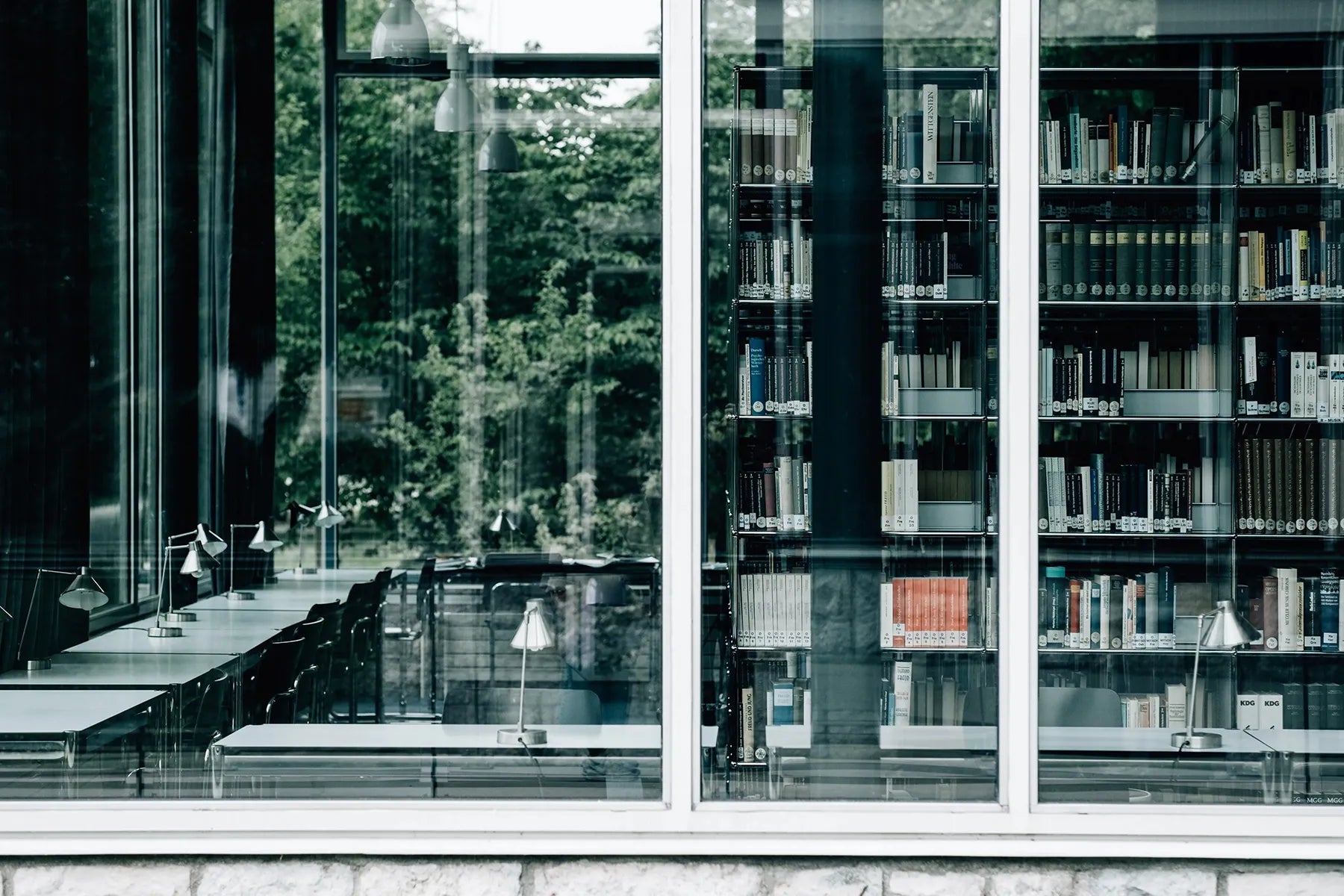 A quiet library with large windows and shelves of books