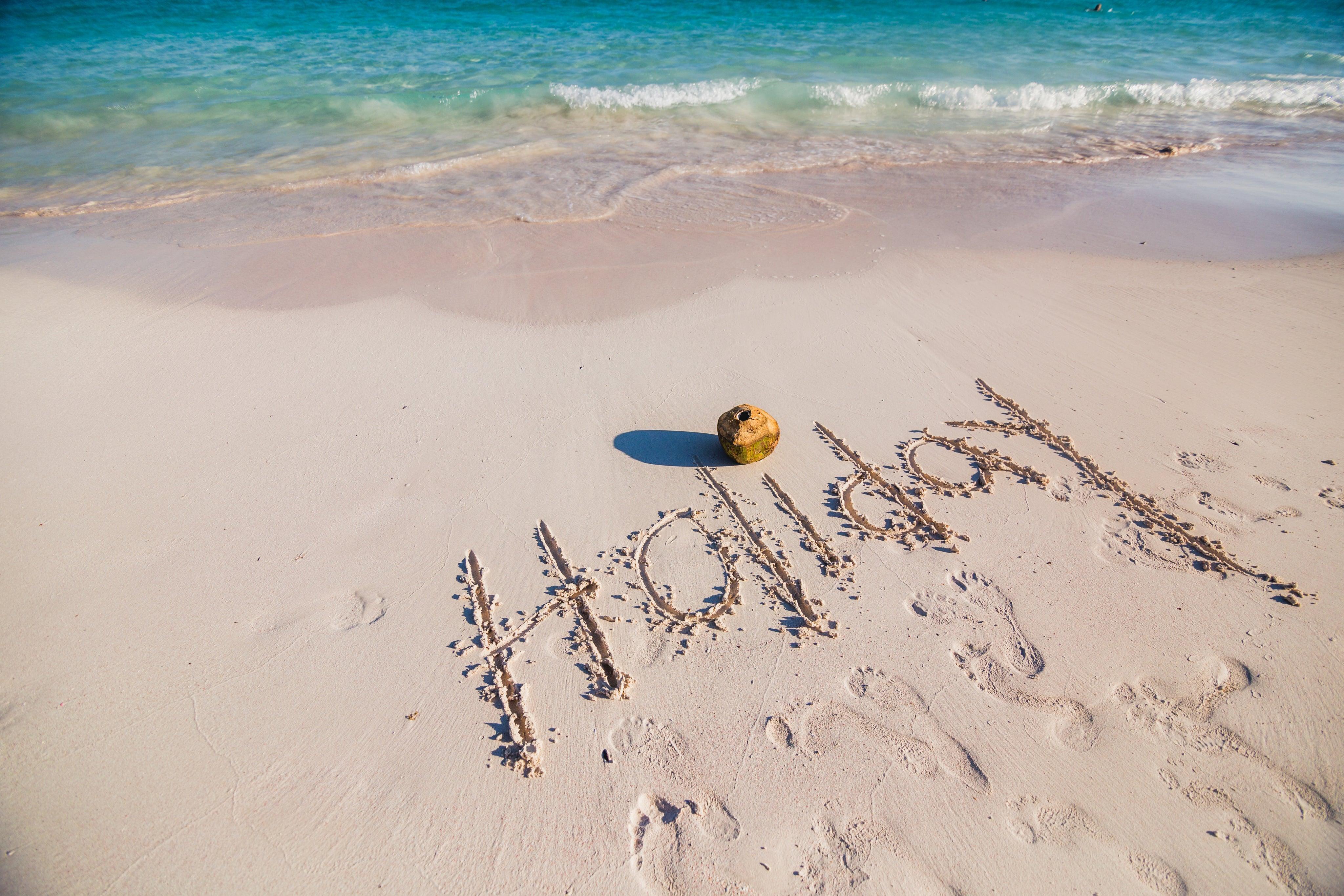 beach-holiday-with-coconut - Ready Sweat Go