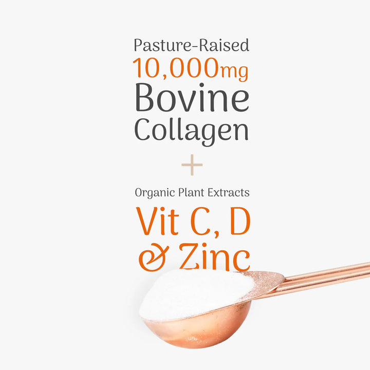 Veloforte - CollagenPro - Collagen Peptides for Recovery &amp; Joint Support