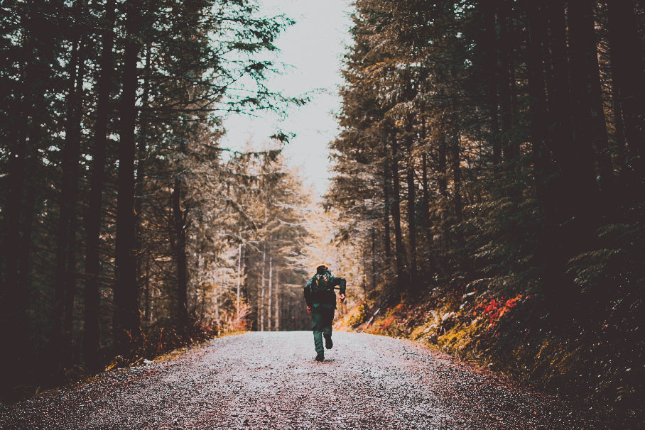 running on trail, in forrest.