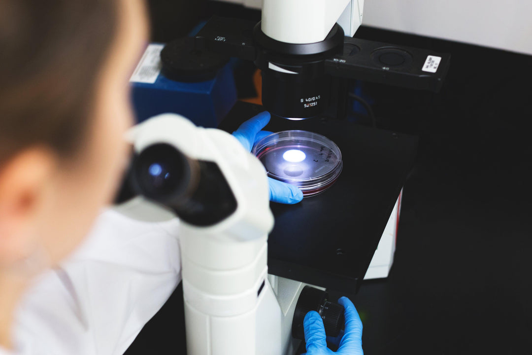 science-examining-magnifiers - Ready Sweat Go
